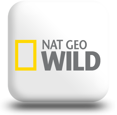 Nat Geo Wild