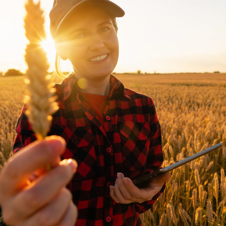 Farm worker holding ipad